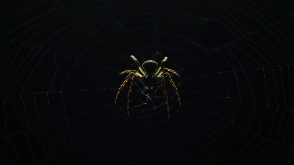 Dark Web spider